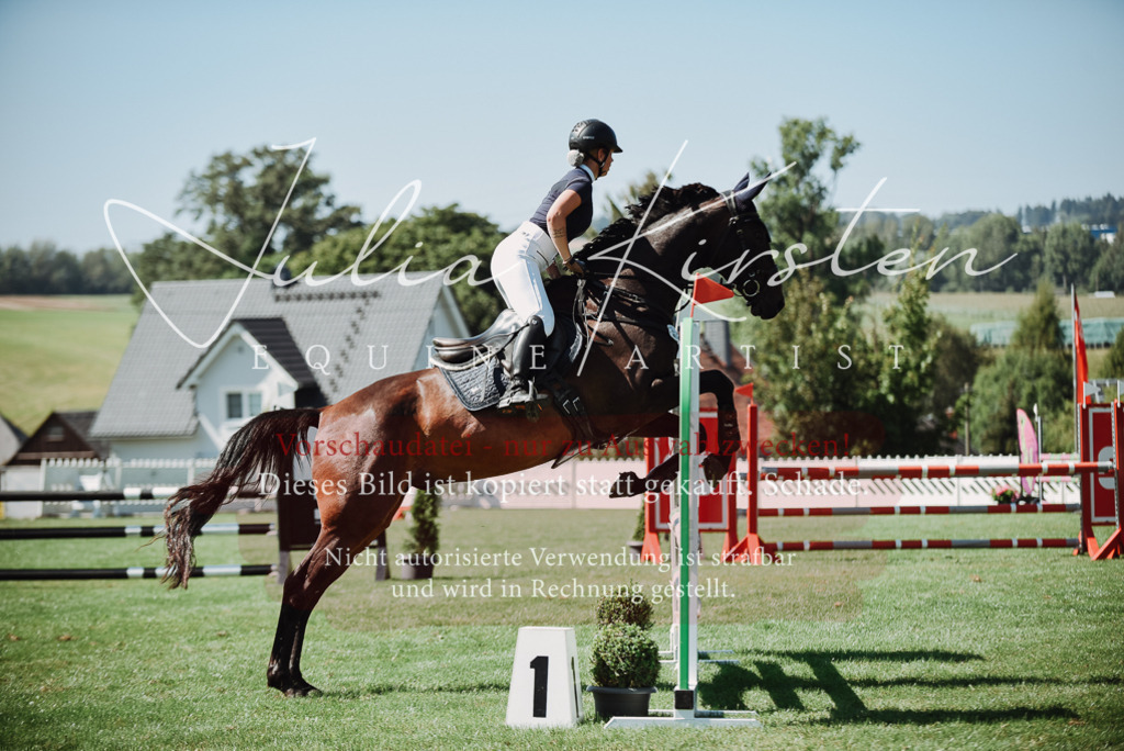 DSC_3269 | Pferde- und Turnierfotografie in Westsachsen. Pferdeportraits, Auftragszeichnungen und intuitive Kunst.