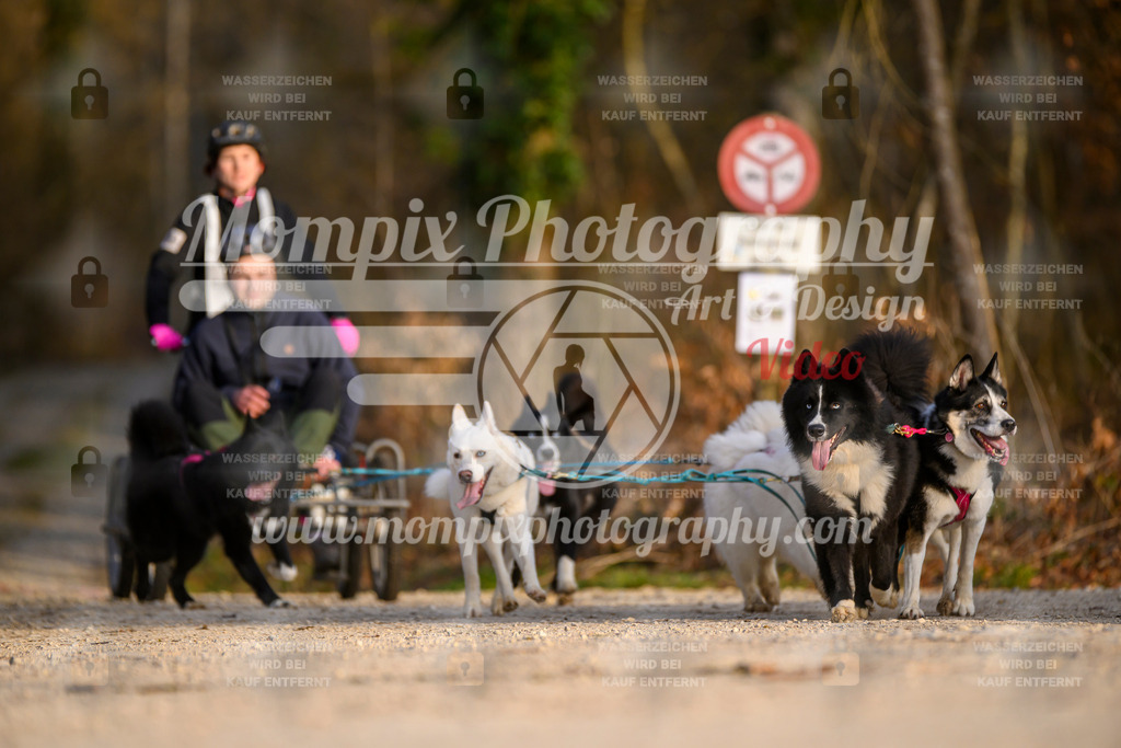 MompixPhotography_6ReiatRennen2026_SO_Kart-28 | PayLife