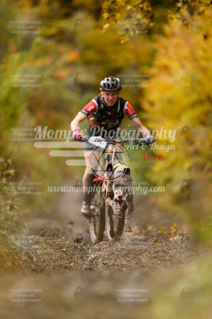 MompixPhotography_ICF_WC_2024_SA_Bike_-84 | PayLife