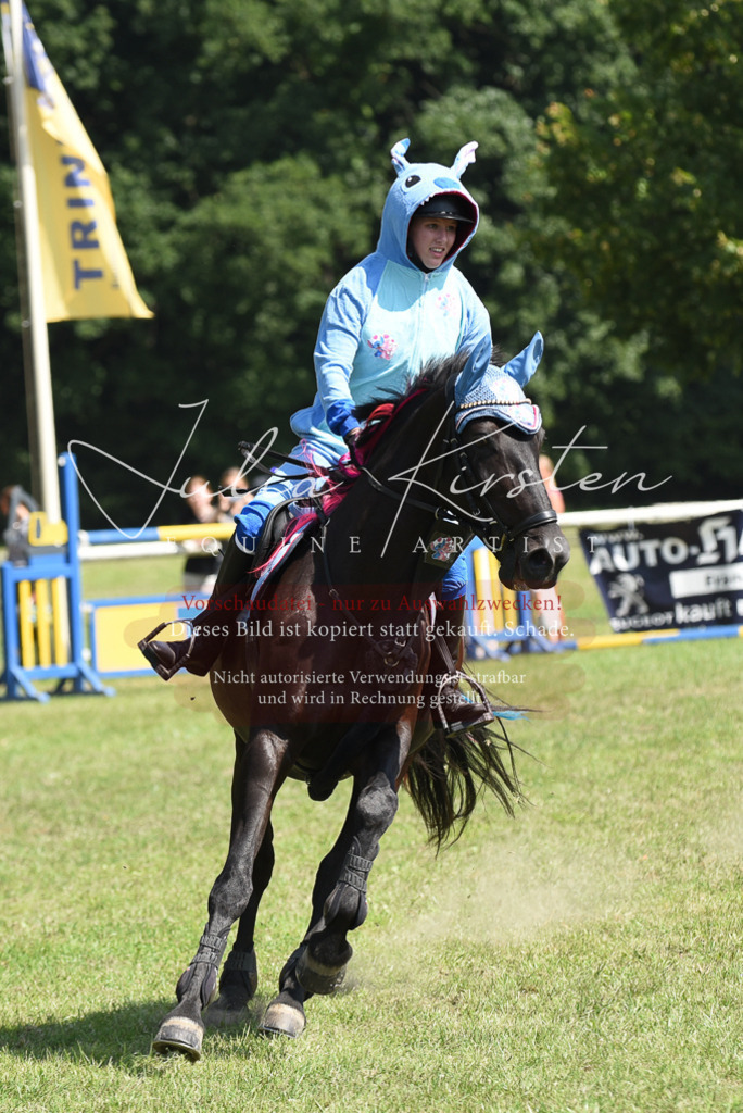 DSC_0223 | Pferde- und Turnierfotografie in Westsachsen. Pferdeportraits, Auftragszeichnungen und intuitive Kunst.