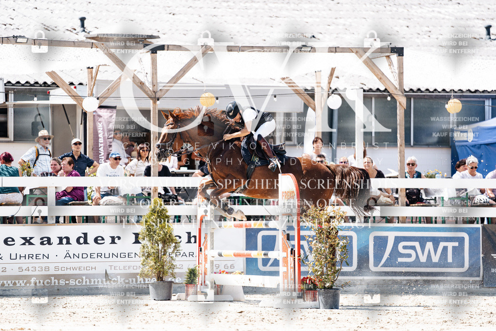 CK909858 | Turnierfotografie Pferdefotografie Trier Rheinland-Pfalz Pferdesport Reitsport Tierfotografie Sportfotografie Pferdevideo Pferdevideografie Equestrianvideography equestrianphotography  - Realisiert mit Pictrs.com