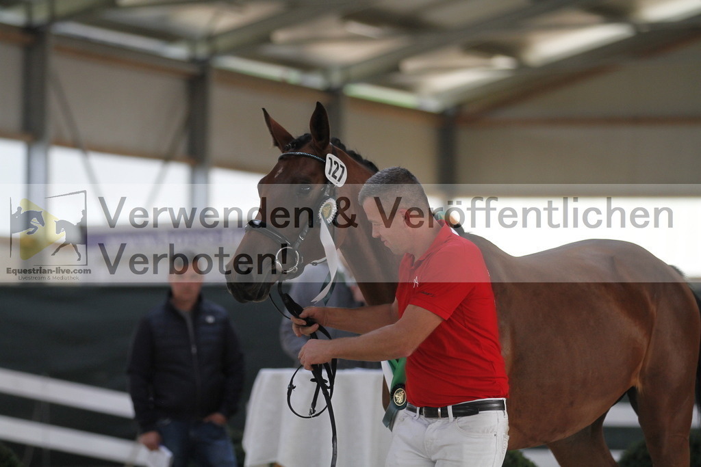_MG_0746 | equestrian-live-com
