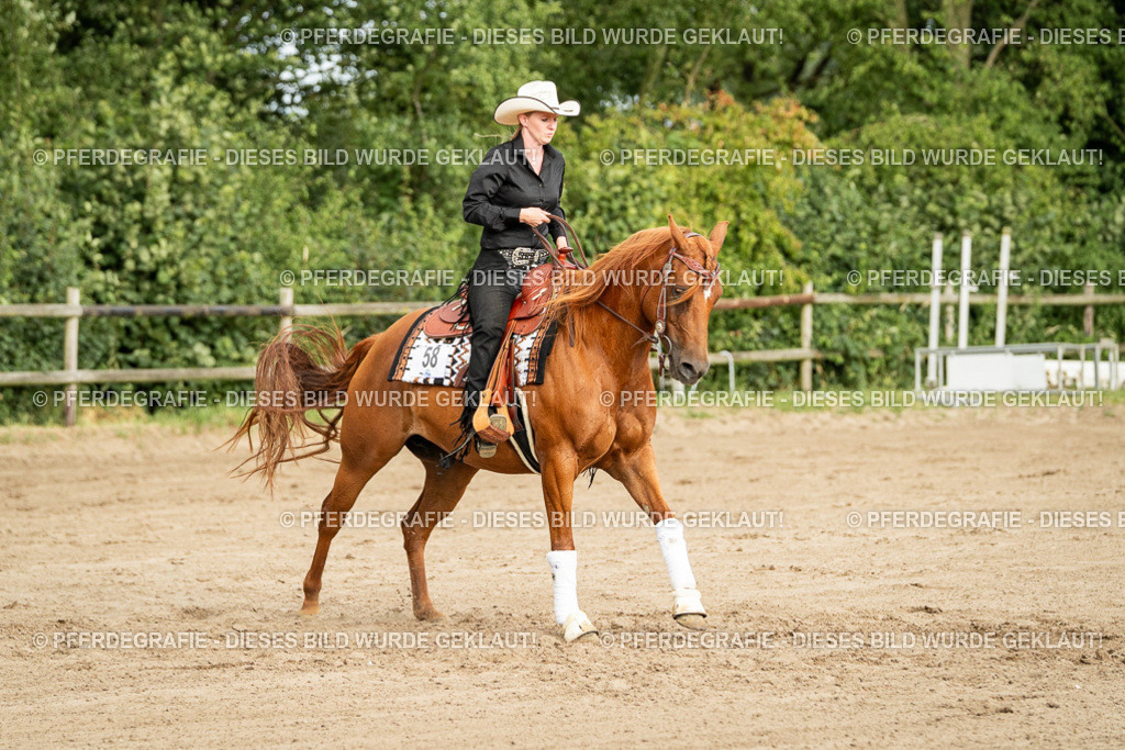 DSC05262 | Pferdegrafie