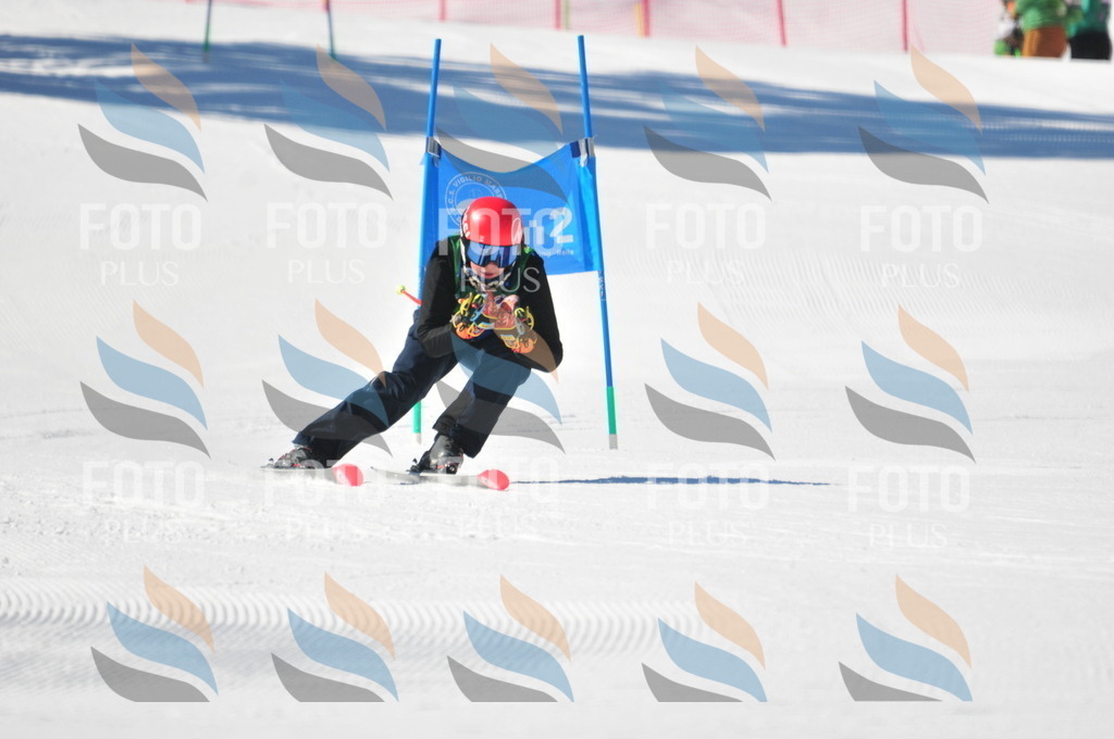 C3774 | holidayphoto