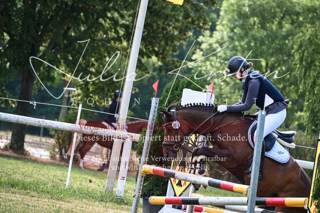 DSC_8008 | Pferde- und Turnierfotografie in Westsachsen. Pferdeportraits, Auftragszeichnungen und intuitive Kunst.