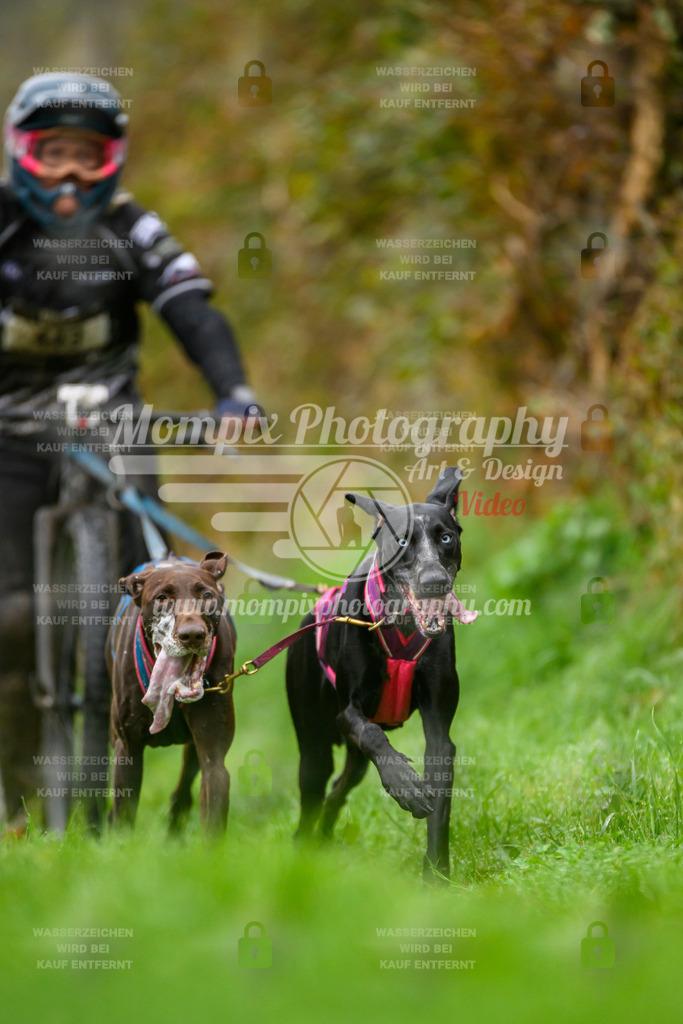 MompixPhotography_20TSB_E8_DS2-1 | PayLife