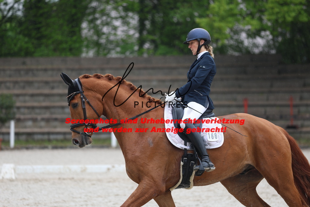 A40A8156 | lmwpictures - Realisiert mit Pictrs.com