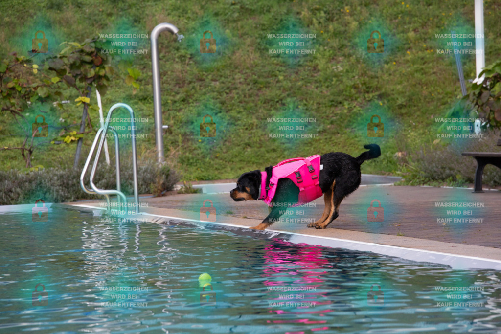 _HP_7596_1000o | HetPix, HetPix Fotodesign, Fotografie, Fotodesign, Webshop, Sportfotografie, Portraitfotografie, Onlineshop, Sportfotografie, Polch, Motorsportfotografie, Eventfotografie