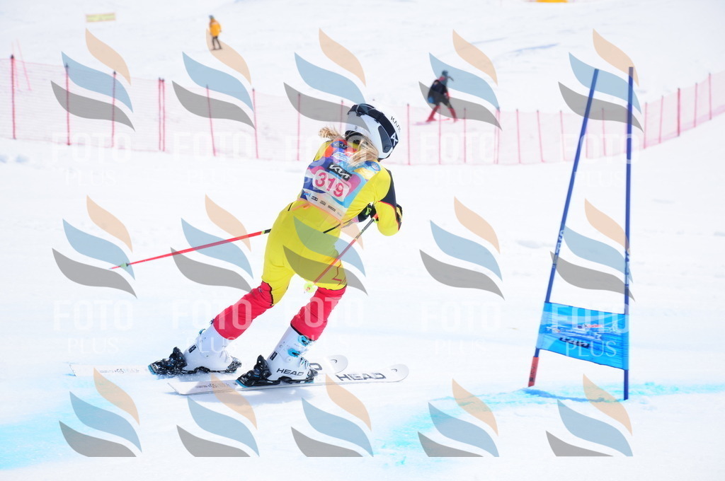 DSC_6845 | holidayphoto