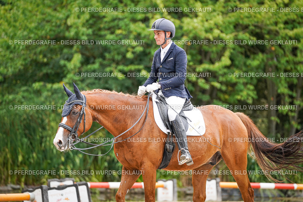 DSC08529 | Pferdegrafie