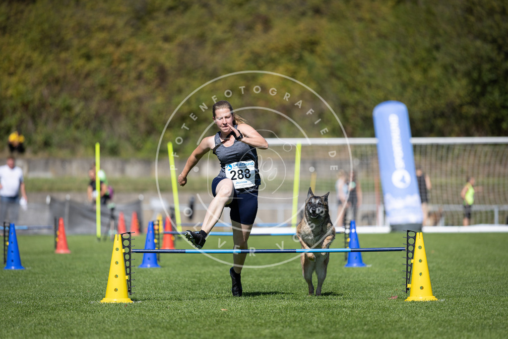 Pfotenfotografie_DV3A7323 | Hundefotografie, Tierfotograf, Pfotenfotografie, Fotoshooting Hund, Hunde Portrait, Hundesport, Hundeportraits, Heideshooting, Hunde, Sportfotograf, Hundefotograf, Turnierhundsport, THS,  - Realisiert mit Pictrs.com
