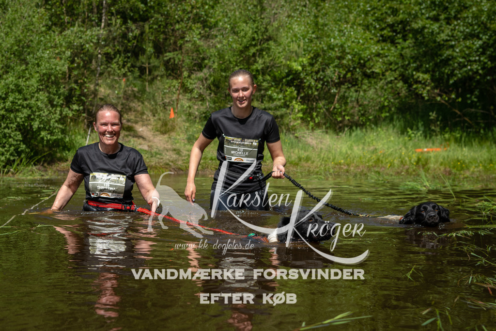 1151DKK991342 | kk-dogfotos