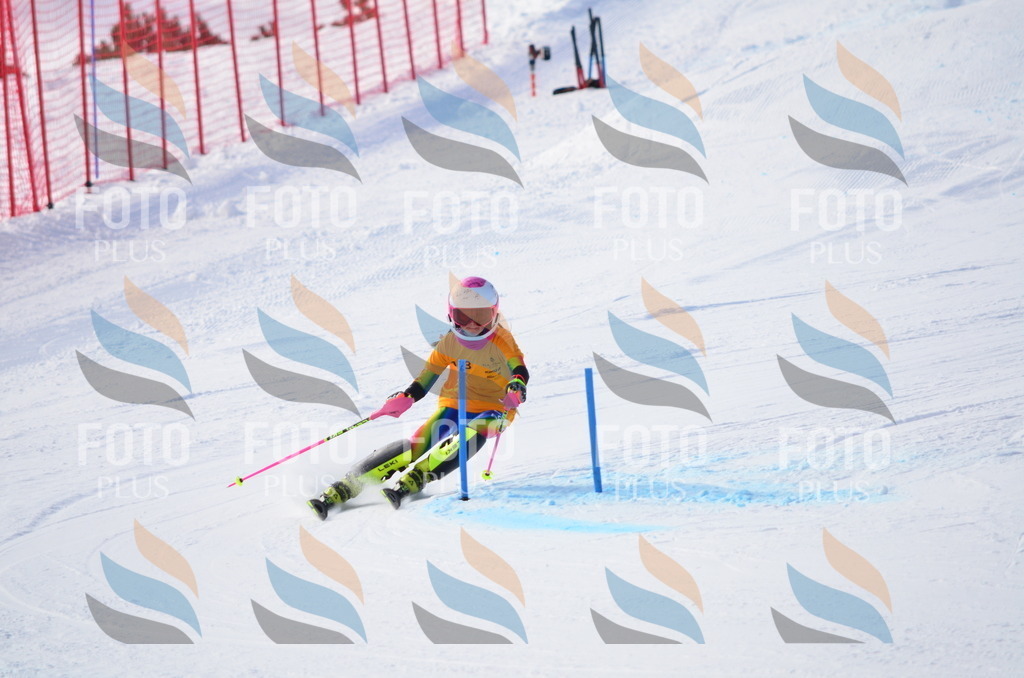 C7918 | holidayphoto