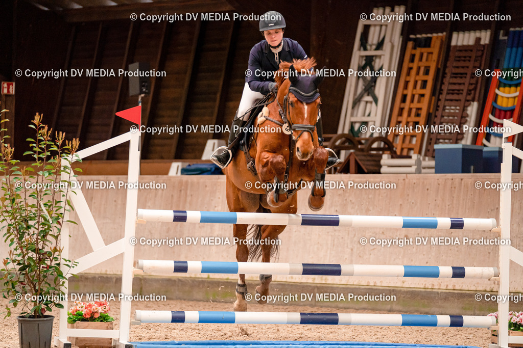 Springen Tag 1-418 | dv-media-shop - Realisiert mit Pictrs.com