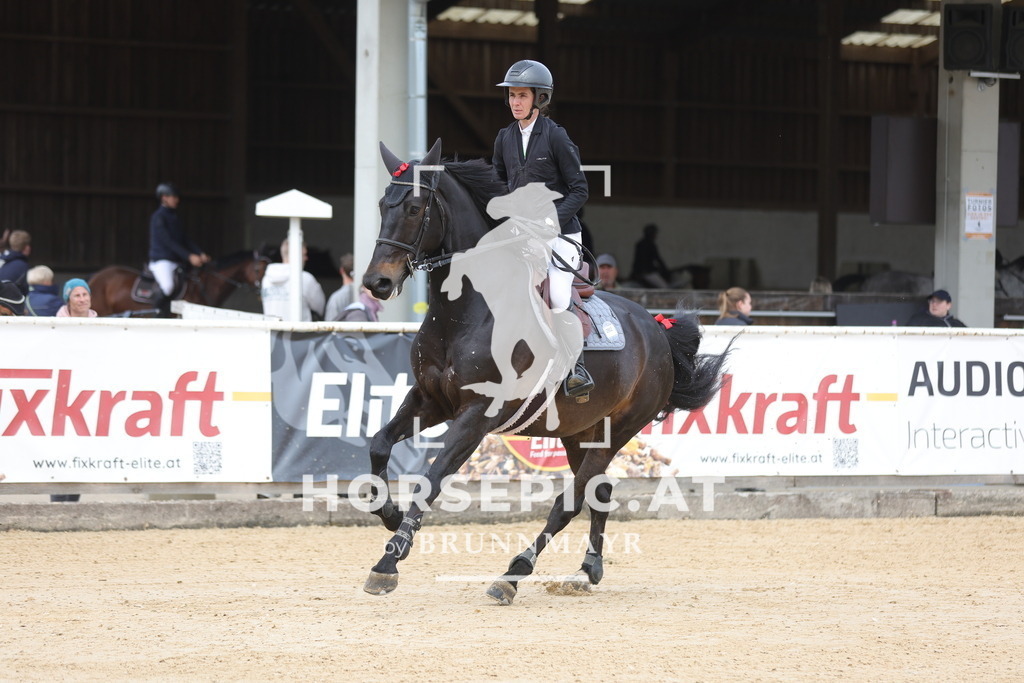 0P6A5321 | Willkommen bei Brunnmayr - Design & Fotografie – Ihrem Spezialisten für Reitturniere und Pferdeveranstaltungen in Oberösterreich, Salzburg und Bayern! Seit über 17 Jahren sind wir leidenschaftlich dabei.