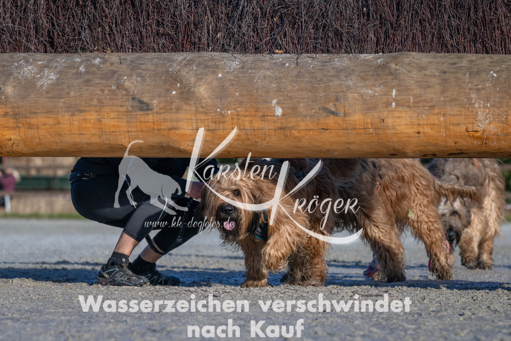 1027-_ZZ91272 | kk-dogfotos