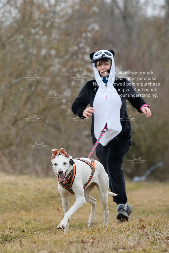 Fasching-68 | stephaniefillaphotographie - Realisiert mit Pictrs.com