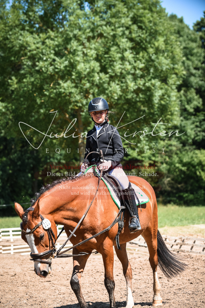 DSC_3468 | Pferde- und Turnierfotografie in Westsachsen. Pferdeportraits, Auftragszeichnungen und intuitive Kunst.