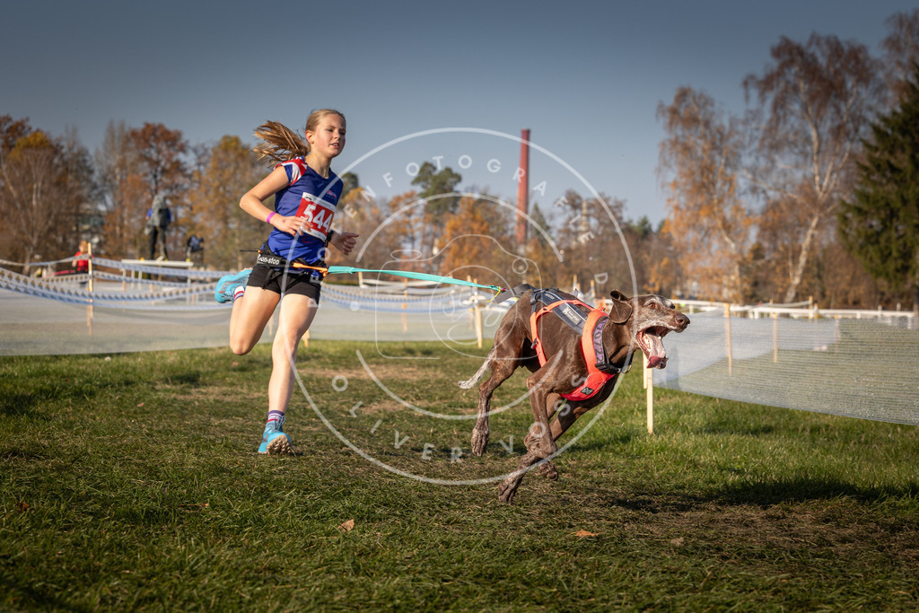 CaniXpix_0L8A9106 | Hundefotografie, Tierfotograf, Pfotenfotografie, Fotoshooting Hund, Hunde Portrait, Hundesport, Hundeportraits, Heideshooting, Hunde, Sportfotograf, Hundefotograf, Turnierhundsport, THS,  - Realisiert mit Pictrs.com