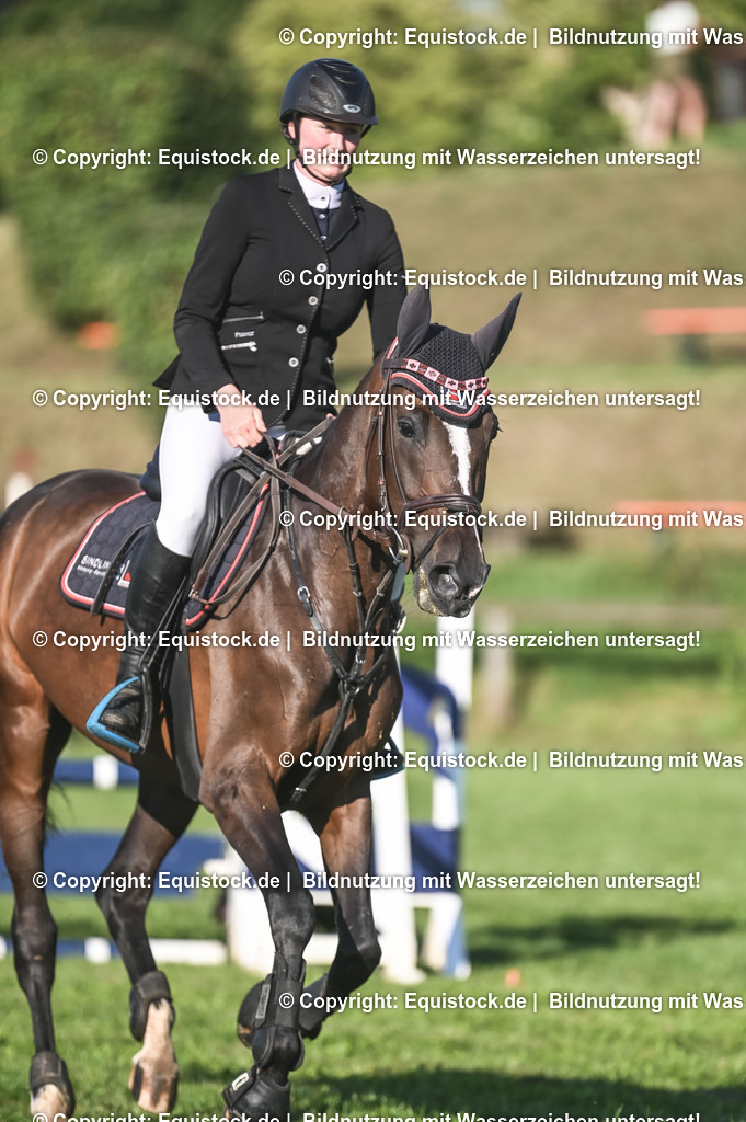 20230908_14-15_Springpferde-A_0045 | equistock