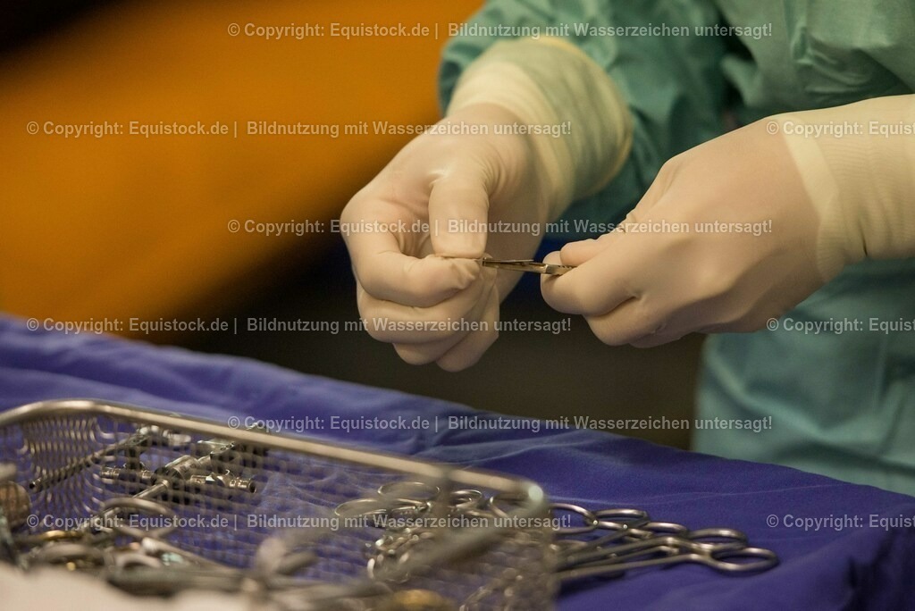 20160315_Arthroskopie_0021 | equistock