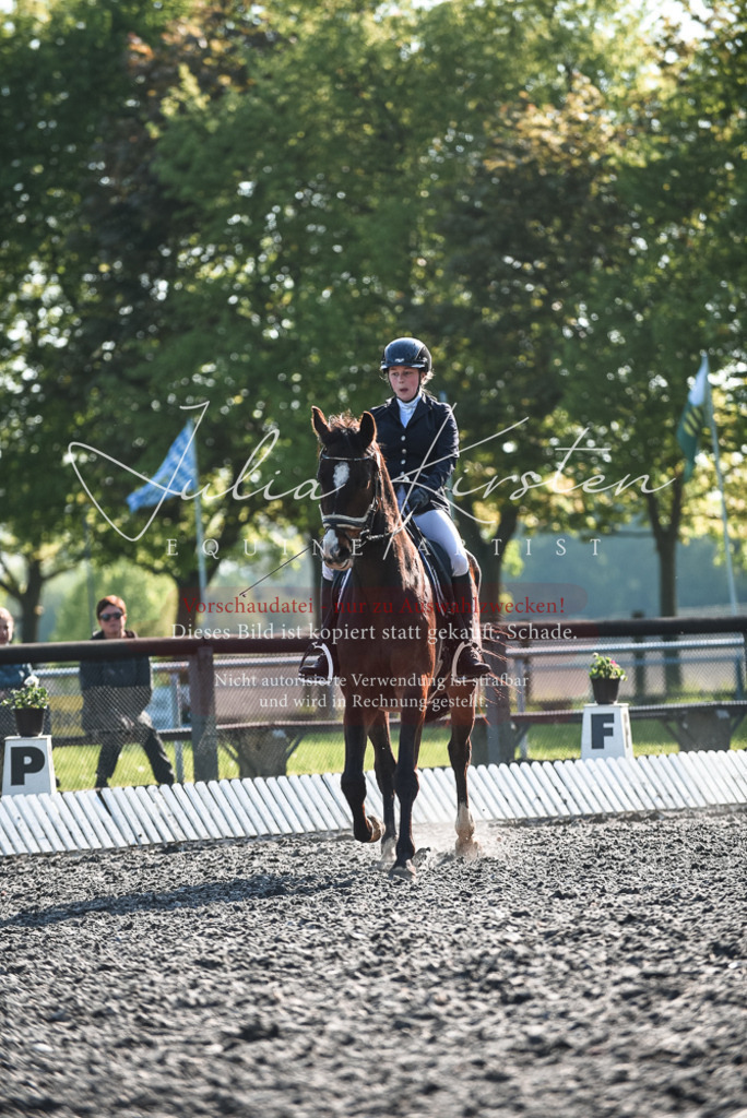 DSC_8284 | Pferde- und Turnierfotografie in Westsachsen. Pferdeportraits, Auftragszeichnungen und intuitive Kunst.