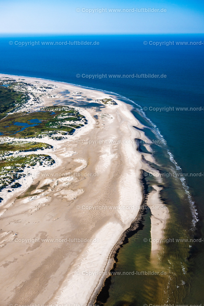 Amrum_Strand_ELS_7572280824 | NORDDORF 28.08.2024 Küsten- Landschaft mit Heide- Landschaft am Sandstrand der Nordsee- Insel Amrum in Norddorf im Bundesland Schleswig-Holstein. // Coastline on the sandy beach of Nordsee- Insel Amrum in Norddorf in the state Schleswig-Holstein. Foto: Martin Elsen