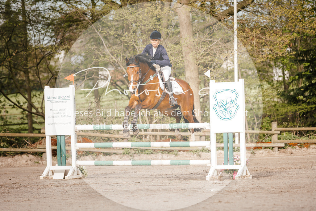 3I6A3234 | Stimmungsvolle Portraits und Reitsportfotografie im Ruhrgebiet und im Münsterland.

Pferdefotografie, Hundefotografie, Tierfotografie, Reportagen, Portraits von Tier und Mensch, Turnierfotografie in Bochum, Recklinghausen, Marl, Haltern am See, Dülmen.. - Realisiert mit Pictrs.com