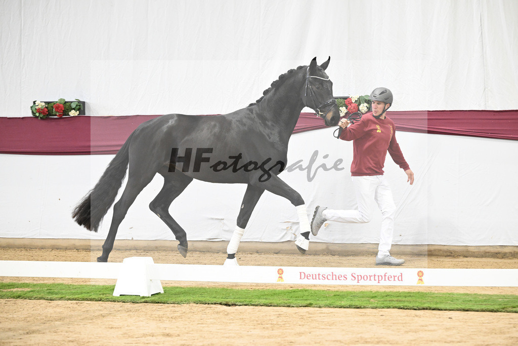 Kat-Nr. 112 Fynch Hatton x Damon Hill_Sibille Hachtel_47253351 | hf-fotografie - Realisiert mit Pictrs.com