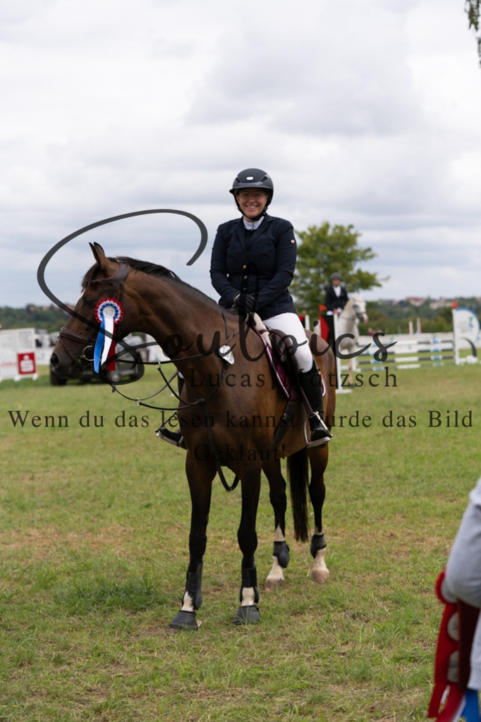 A7V05614 | Pferdefotograf