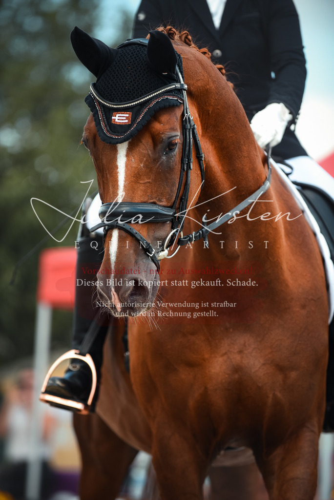 DSC_9105 | Pferde- und Turnierfotografie in Westsachsen. Pferdeportraits, Auftragszeichnungen und intuitive Kunst.