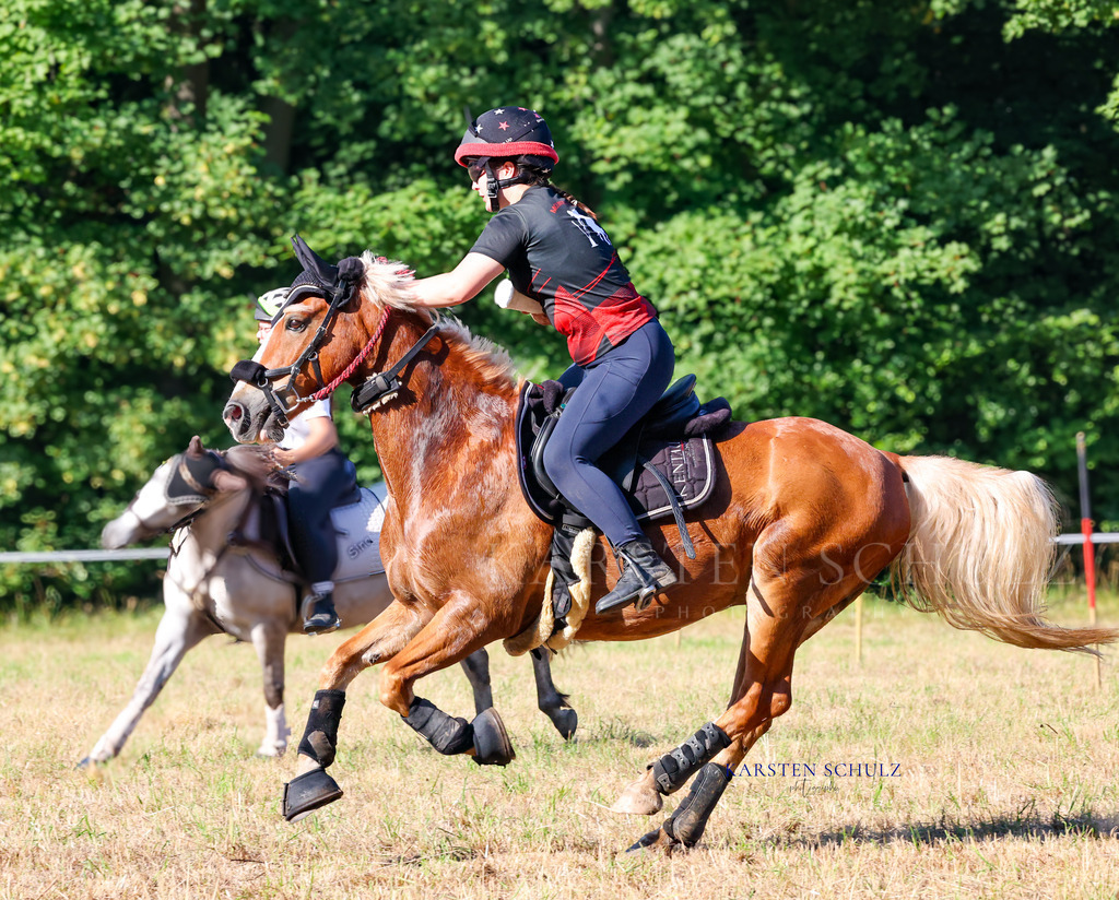 1B3A8603 | Reitsport Reiten