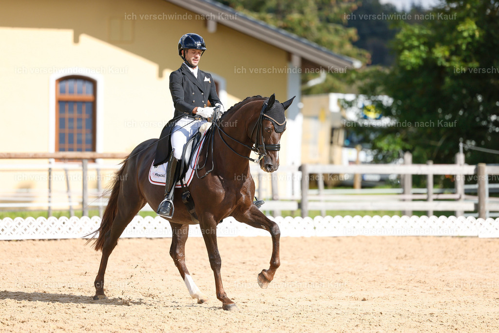 09_2-069-DRESSUR  S_  -StoibPH-5832 | working equitationturnier fotograf videograf stoibphotography marixx film working equitation deutschland reitsport turnierfotografie eventfotografie equestrian events