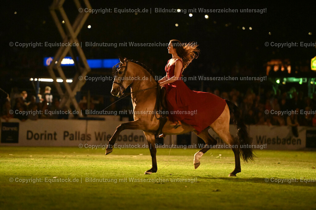 20230526_Pferdenacht_1394 | equistock