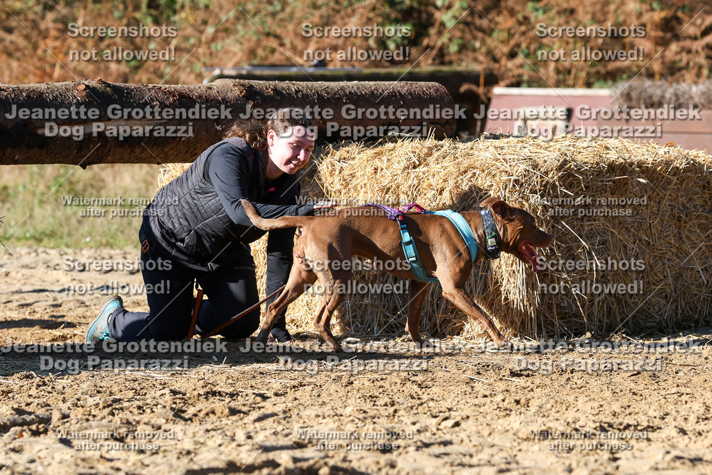 Dog Paparazzi - Strongdog 10-25-2001 | Dog Paparazzi Jeanette Grottendiek Fotografie & Videografie - Realisiert mit Pictrs.com