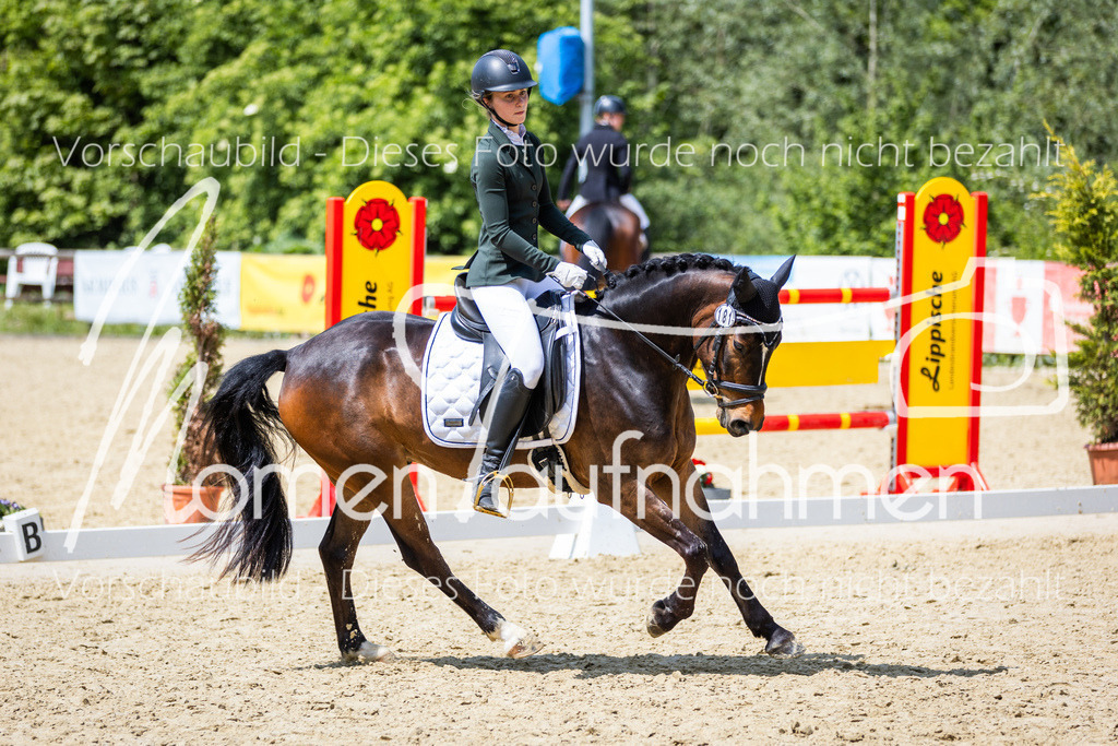 Donop24-EDre-043 | MomenTaufnahmen Pferdesportfotos