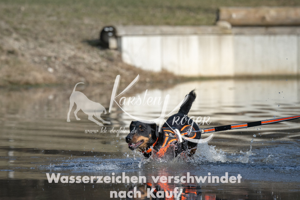 1505_ZZ91451 | kk-dogfotos