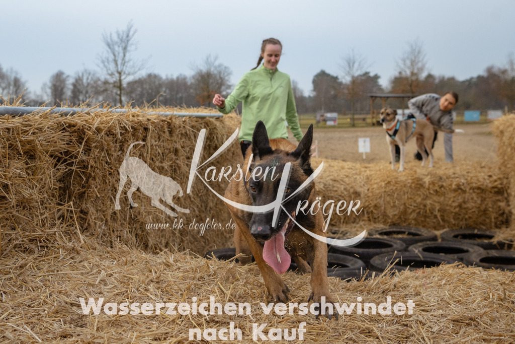 0836_ZZ93563 | kk-dogfotos