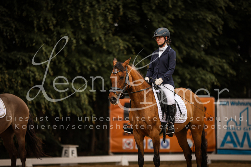 DoDrE00399 | Leoni Ertmer Photography - Realisiert mit Pictrs.com