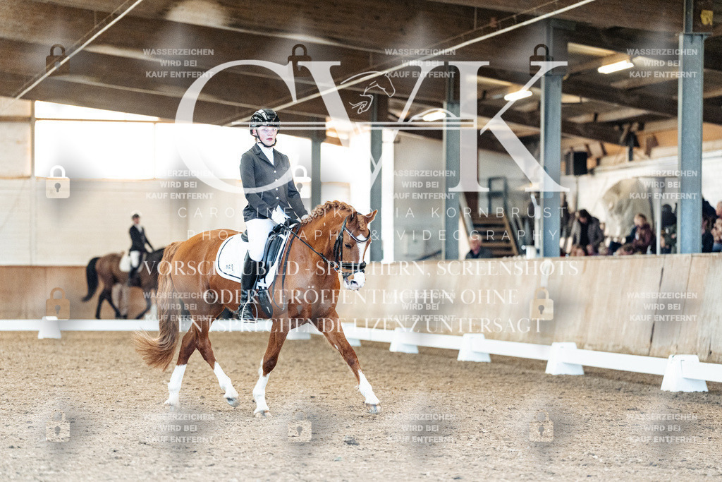 CK908942 | Turnierfotografie Pferdefotografie Trier Rheinland-Pfalz Pferdesport Reitsport Tierfotografie Sportfotografie Pferdevideo Pferdevideografie Equestrianvideography equestrianphotography  - Realisiert mit Pictrs.com