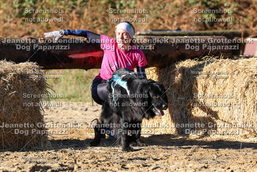 Dog Paparazzi - Strongdog 10-25-1647 | Dog Paparazzi Jeanette Grottendiek Fotografie & Videografie - Realisiert mit Pictrs.com