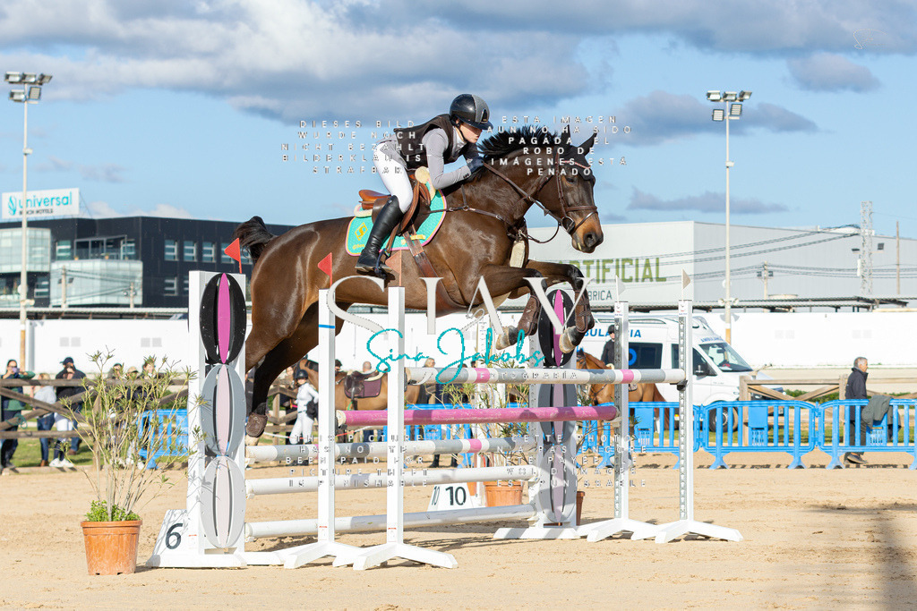 IMG_1918 | s-jay-photography - Realisiert mit Pictrs.com