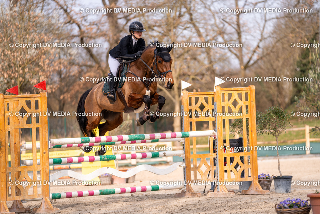 Kranichstein Tag 2-1563 | dv-media-shop - Realisiert mit Pictrs.com