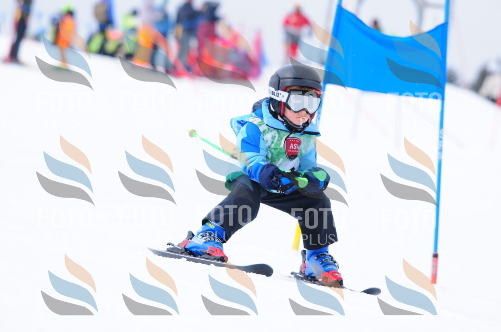 A3481 | holidayphoto