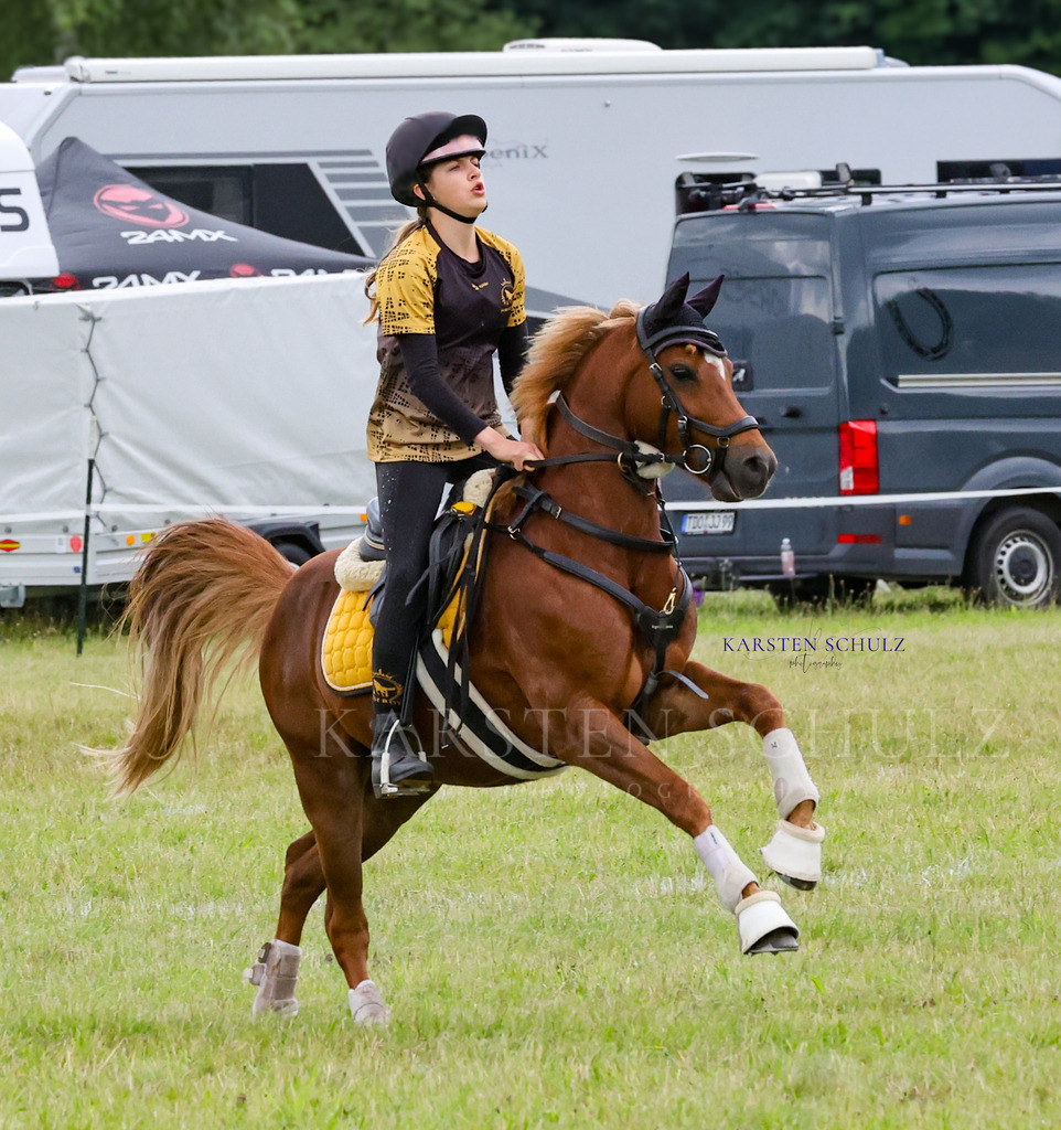 1B3A0810 | Reitsport Reiten