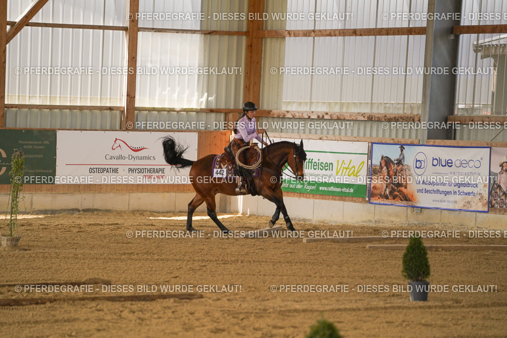 DSC06094 | Pferdegrafie