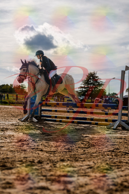 2026_10_03_Siefer-Hof_154504_Z63_09492315 | Professionelle Reitsport-, Turnier- und Eventfotografie von Robert Broda. Galerien mit ausgewählten und bearbeiteten Bildern direkt online ansehen und bestellen.