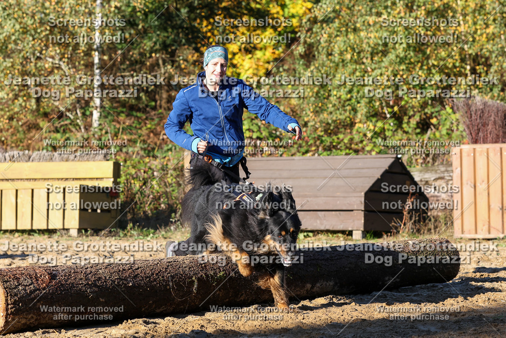 Dog Paparazzi - Strongdog 10-25-1377 | Dog Paparazzi Jeanette Grottendiek Fotografie & Videografie - Realisiert mit Pictrs.com