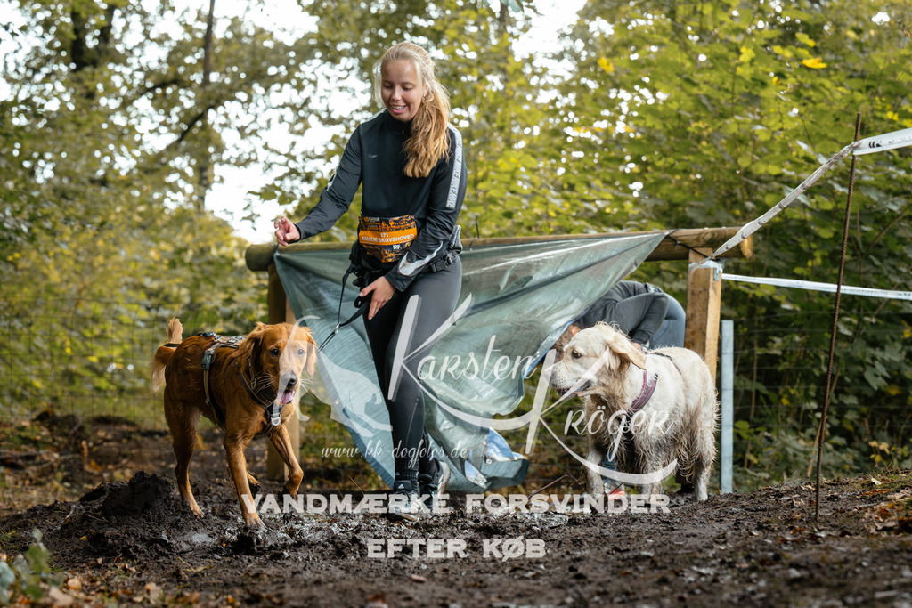 1435DZ6_3081Z6 | kk-dogfotos