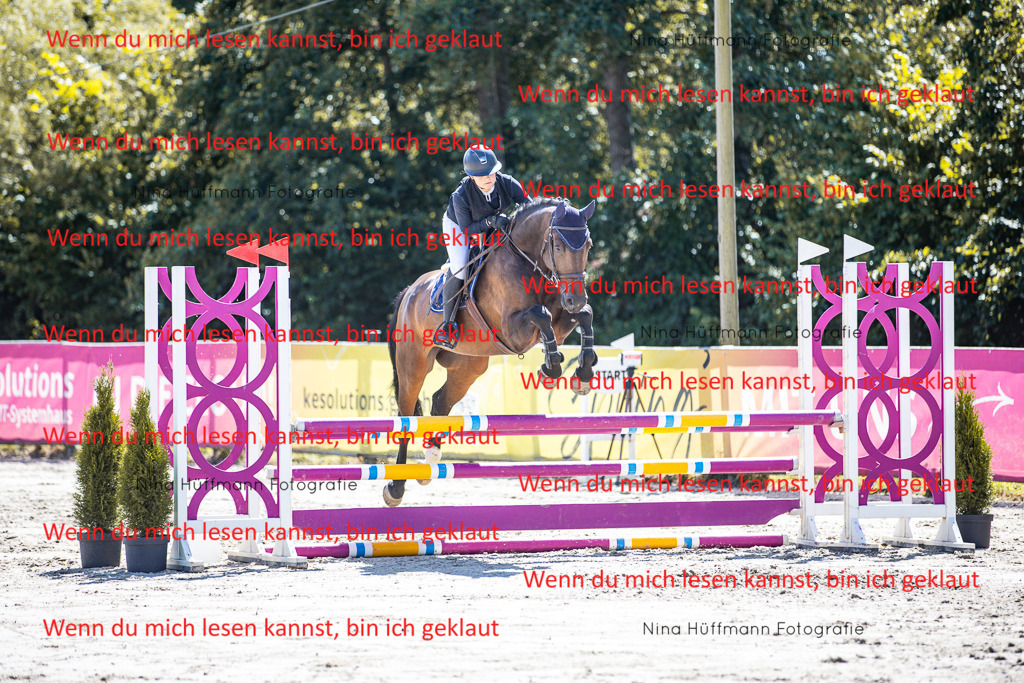 BK1A5227 | Turnierbilder Turnierfotos Nina Hüffmann Turnierfotografie Pferdefotografie Tierzeichnung Haustierzeichnung Pferdezeichnung Hundezeichnung Videograf  - Realisiert mit Pictrs.com